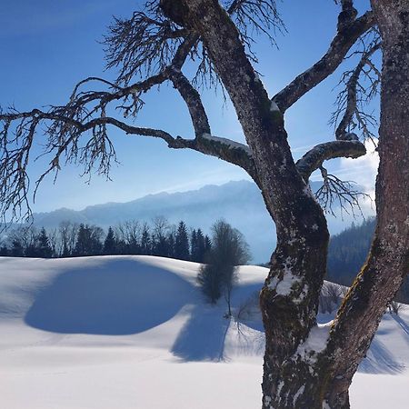 Bergapart Goetschl Rettenschoess Buitenkant foto