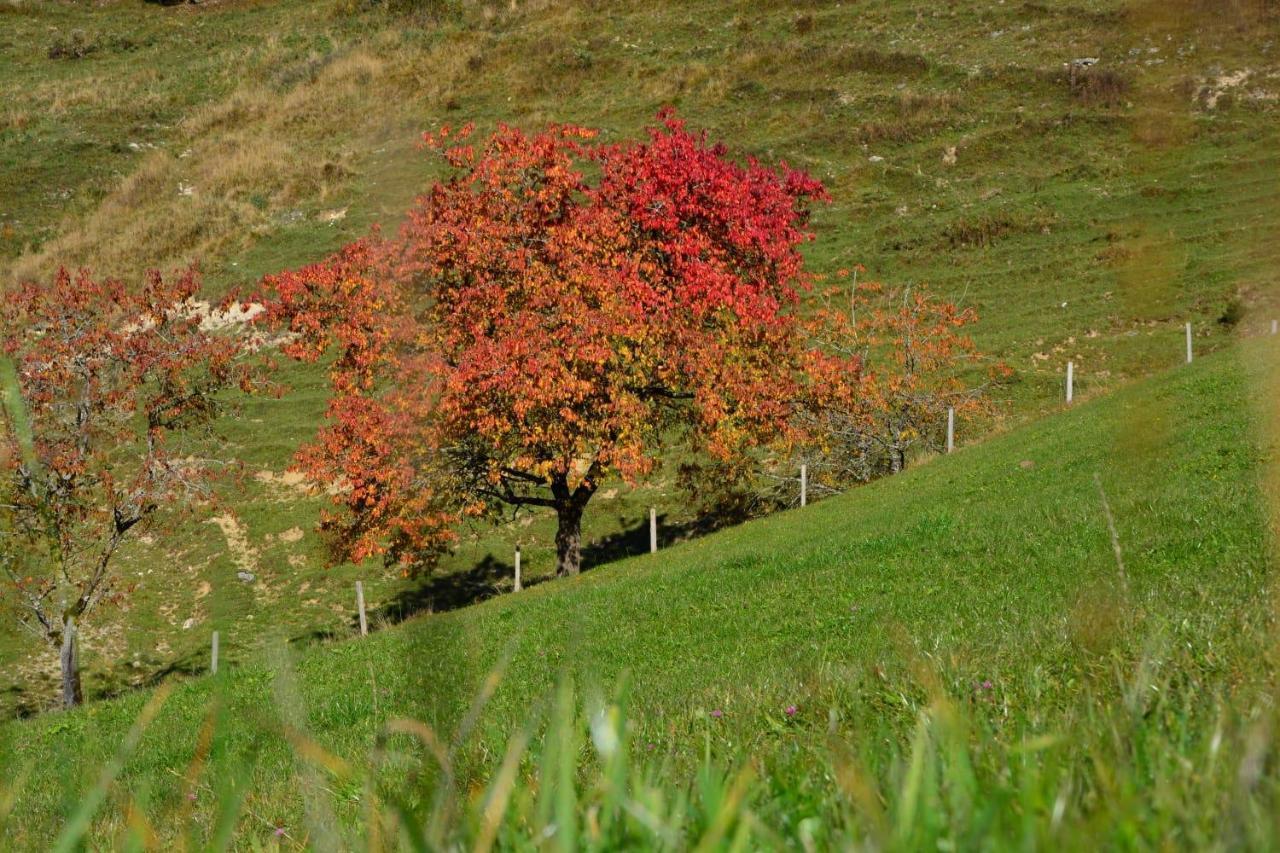Bergapart Goetschl Rettenschoess Buitenkant foto