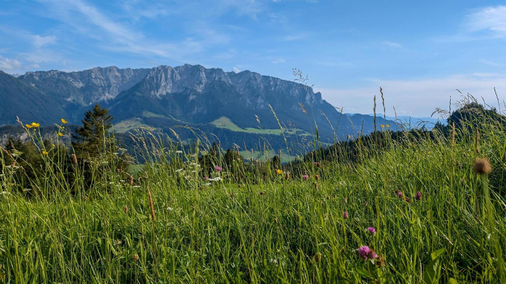 Bergapart Goetschl Rettenschoess Buitenkant foto